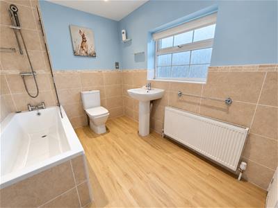 Picture 12